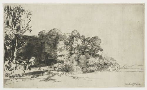 Clump of trees with a vista by Rembrandt van Rijn