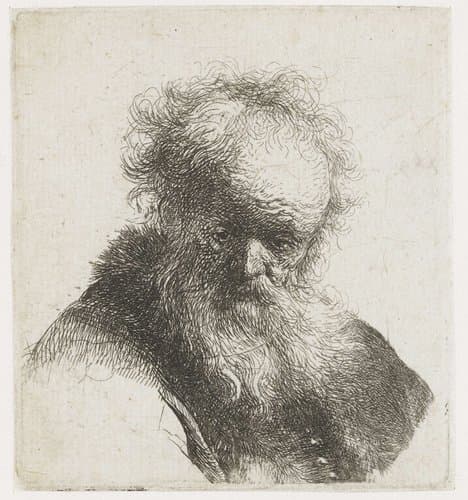 Bust of an old man with flowing beard and white sleeve by Rembrandt van Rijn
