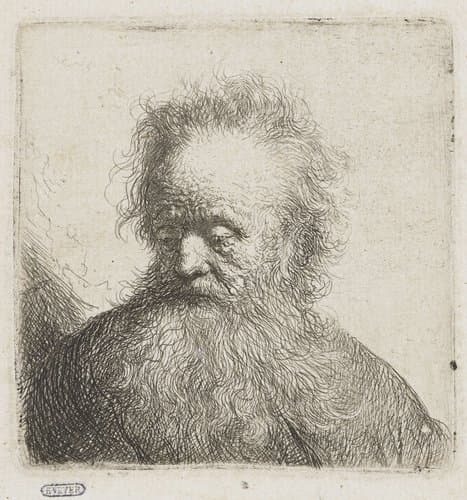 Old man with a flowing beard: bust by Rembrandt van Rijn