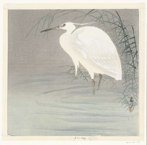 Kleine zilverreiger by Ohara Koson
