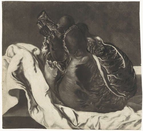 Prenten van het brein en het hart by Jan l'Admiral