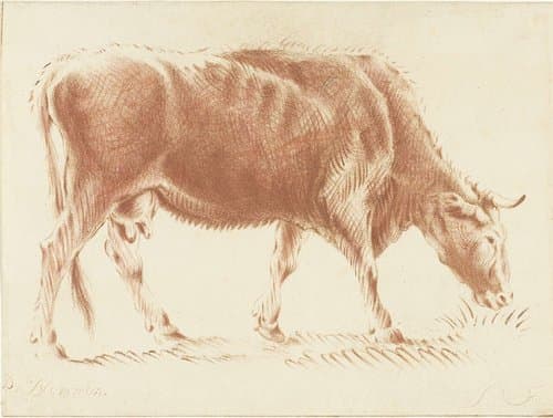 Grazende koe by Jurriaan Cootwijck