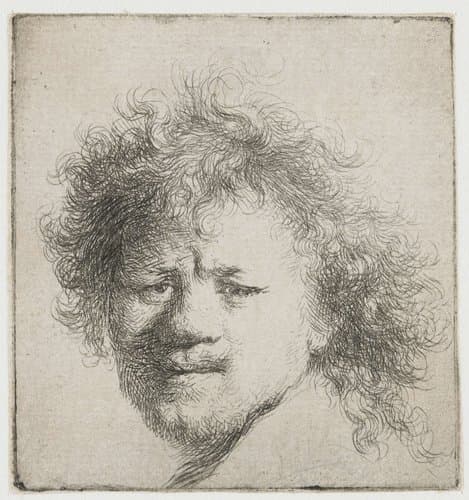 Self-portrait with long bushy hair: head only by Rembrandt van Rijn