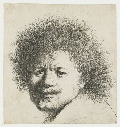 Self-portrait with long bushy hair: head only by Rembrandt van Rijn