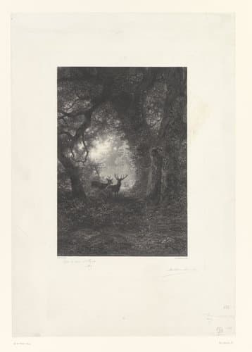Herten in een bos by Adolphe Mouilleron