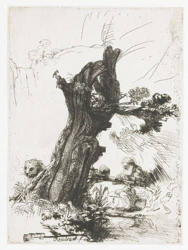 St Jerome beside a Pollard Willow by Rembrandt van Rijn