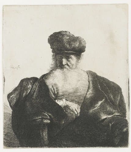 Oude, bebaarde man met bontmuts en fluwelen mantel by Rembrandt van Rijn