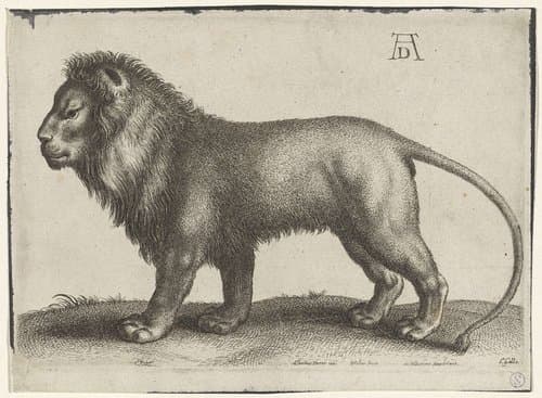 Staande leeuw by Wenceslaus Hollar