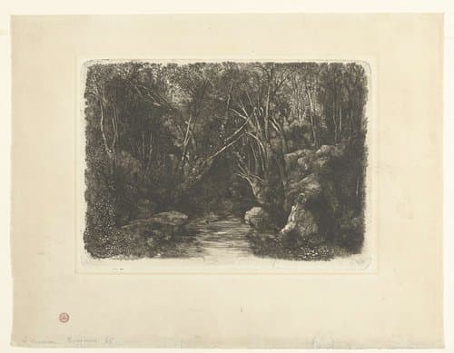 Boslandschap met beek en overhangende bomen by Rodolphe Bresdin
