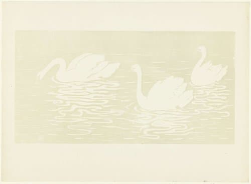 Les Cygnes