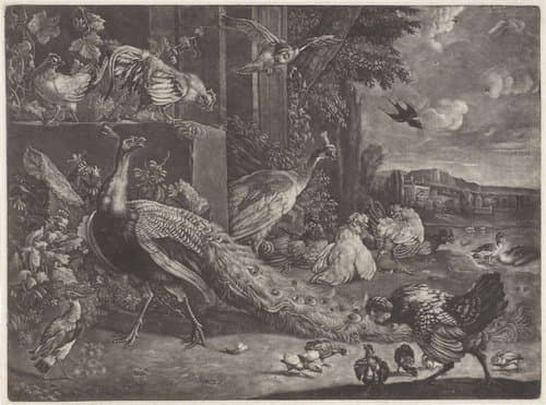 Landschap met gevogelte by anonymous