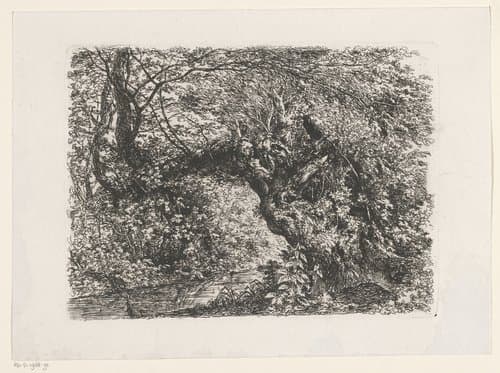 Knoestige boom aan de waterkant by Johann Georg Dillis