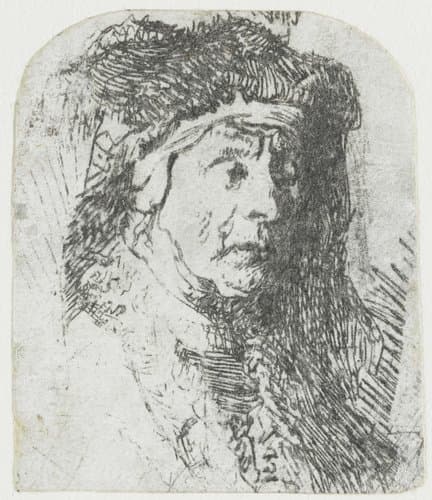Woman in a Fur-trimmed Cloak by Rembrandt van Rijn