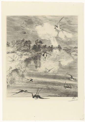 Landschap met zwaluwen in vlucht boven rivier by Félix Bracquemond