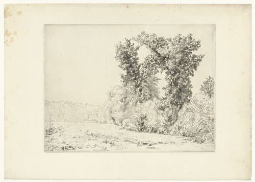 Grands arbres en livière de fôret by Félix Bracquemond