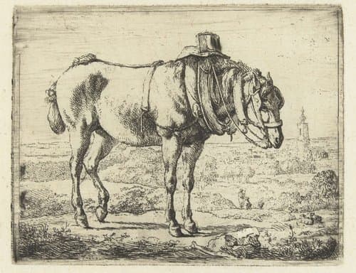 Ezeltje in landschap by Karel du Jardin