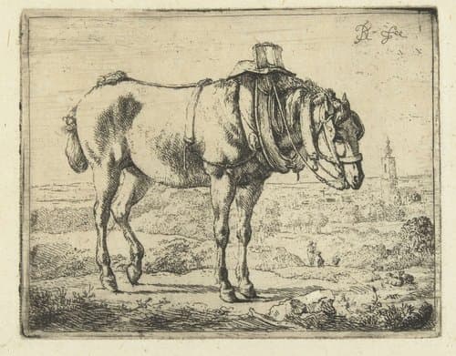Paard opgetuigd als werkpaard by Karel du Jardin