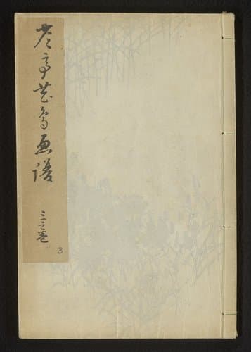 Schetsen van bloemen en vogels van Seitei - deel drie by Watanabe Seitei