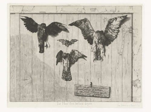 Drie dode vogels en vleermuis op deur gespijkerd by Félix Bracquemond