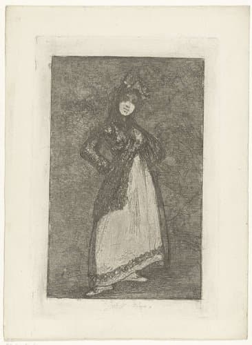Maja met de donkere achtergrond by Francisco de Goya