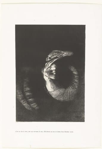 Verzoeking van de heilige Antonius by Odilon Redon