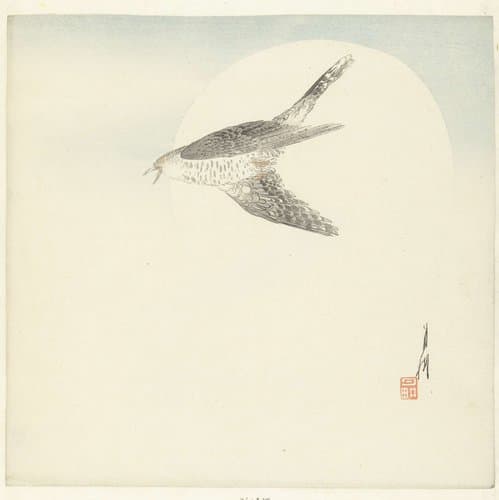 Koekoek vliegend bij volle maan by Ogata Gekkô