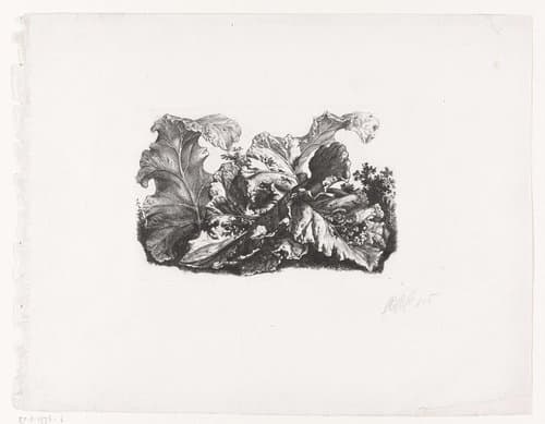 Bladeren van de grote klit by Carl Wilhelm Kolbe (I)
