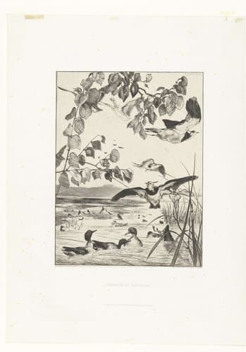Landschap met kievieten en talingen by Félix Bracquemond