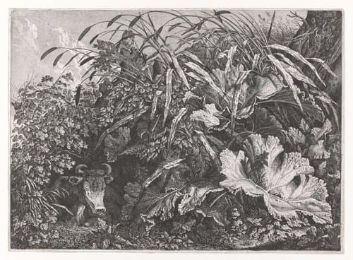 Planten en liggend rund by Carl Wilhelm Kolbe (I)