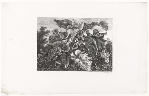 Bladeren van de grote klit by Carl Wilhelm Kolbe (I)