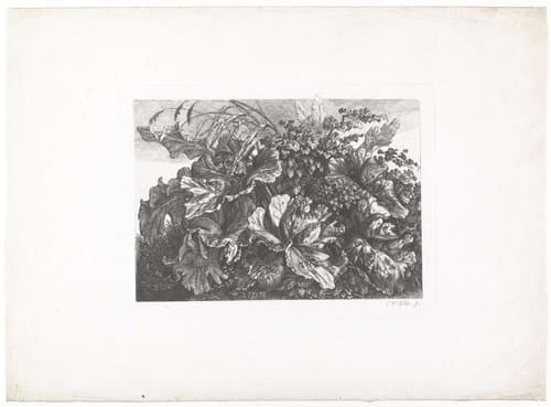Planten en bladeren by Carl Wilhelm Kolbe (I)