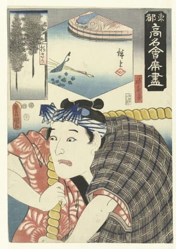 Toto komei kaitei tsukushi