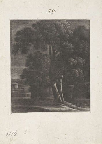 Nachtgezicht met een boom by Wallerant Vaillant