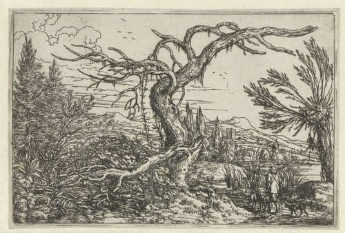 Landschap met de dorre boom by Jonas Umbach