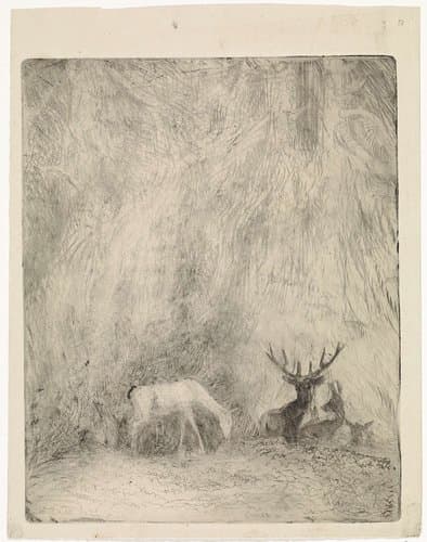 Herten in een Boheems woud by Johannes Tavenraat