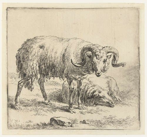 Ram en schaap by Nicolaes Pietersz Berchem
