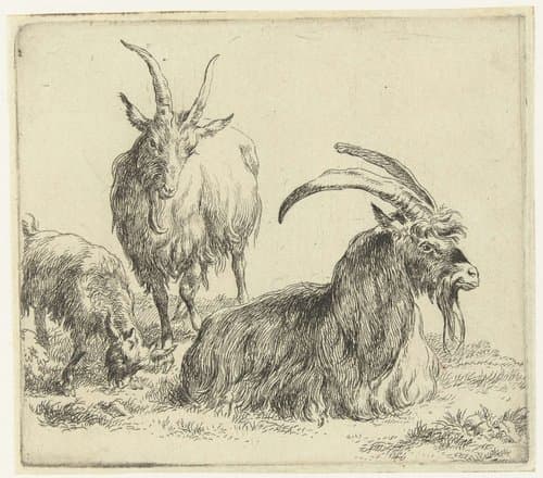 Liggende bok en geit met bokje by Nicolaes Pietersz Berchem