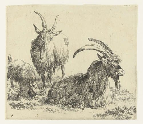 Liggende bok en geit met een bokje by Nicolaes Pietersz Berchem