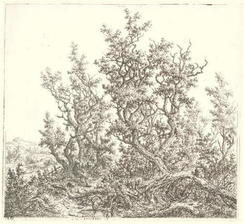 Landschap met een groep eiken en een rustende man by Claes van Beresteyn