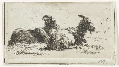 Twee liggende geiten by Simon van den Berg