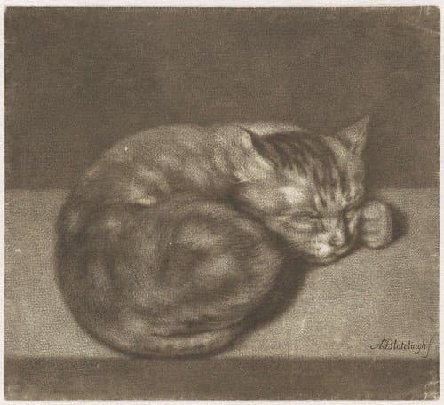 De slapende kat by Abraham Bloteling