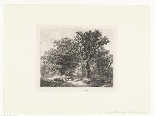 Bosgezicht met vee by Johannes Arnoldus Boland