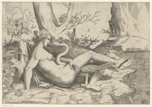 Leda en de zwaan by Cornelis Bos