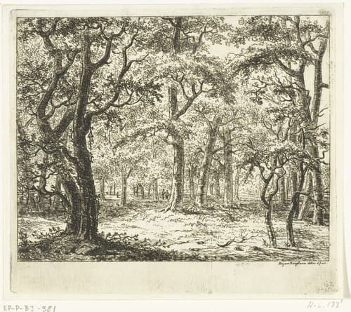 Open plek in het bos by Ernst Willem Jan Bagelaar