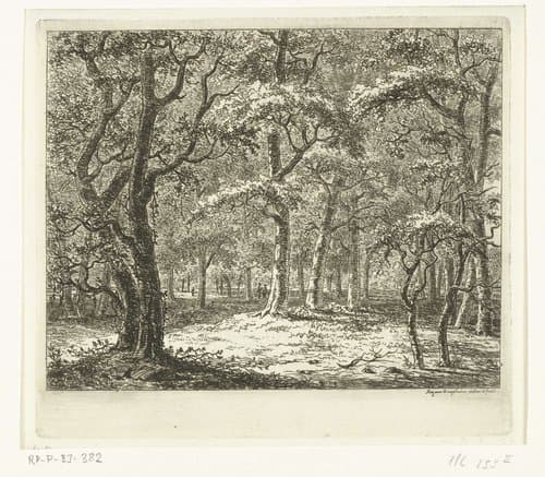 Open plek in het bos by Ernst Willem Jan Bagelaar