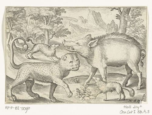 Animalivm qvadrvpedvm by Nicolaes de Bruyn
