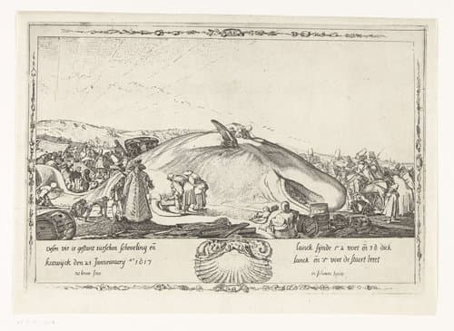 Gestrande potvis op het strand tussen Scheveningen en Katwijk op 21 januari 1617 by Willem Pietersz Buytewech