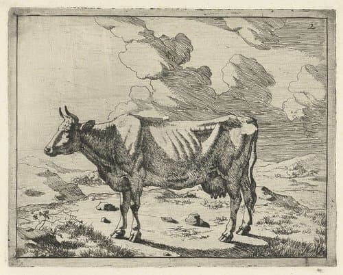 Staande koe bij wolkenlucht by Marcus de Bye