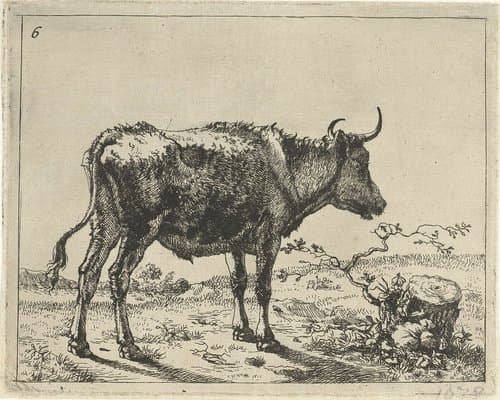 Stier staand bij boomstronk by Marcus de Bye