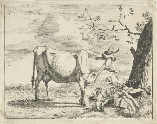 Runderen en varkens by Marcus de Bye